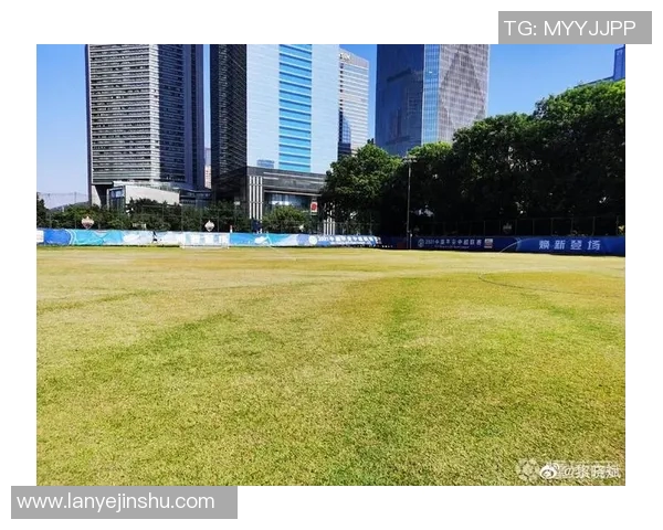 广州羽毛球队实力解析：从训练体系到比赛表现的全面探讨